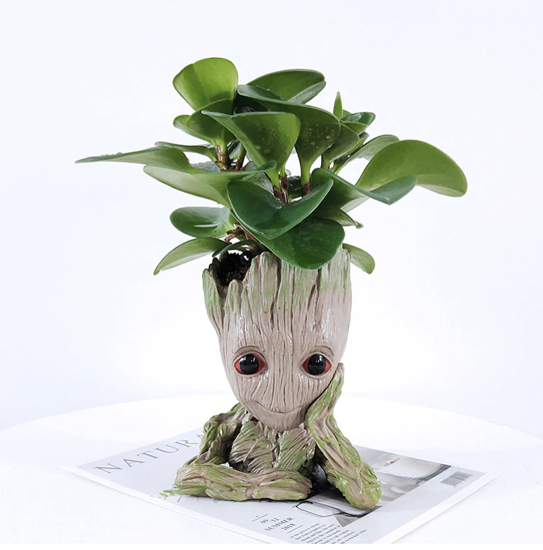 Grow with Groot! Adorable Cartoon Groot Planter Pot NZ